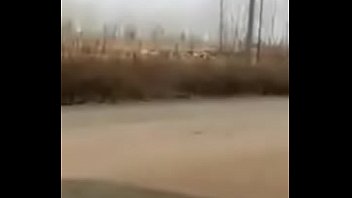 Pasangan Tiongkok Bercinta Di Tempat Umum